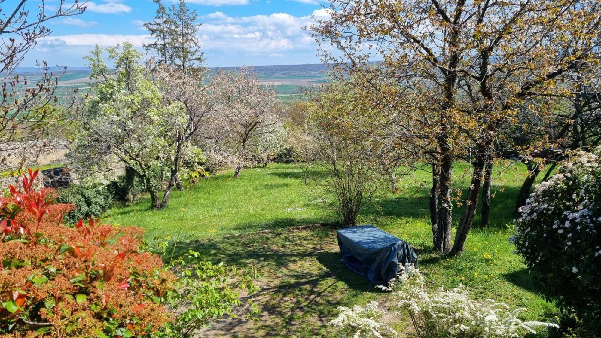 Villeneuve  L'Oustalou - Wifi - Jardin - Campagneヴィラ エクステリア 写真